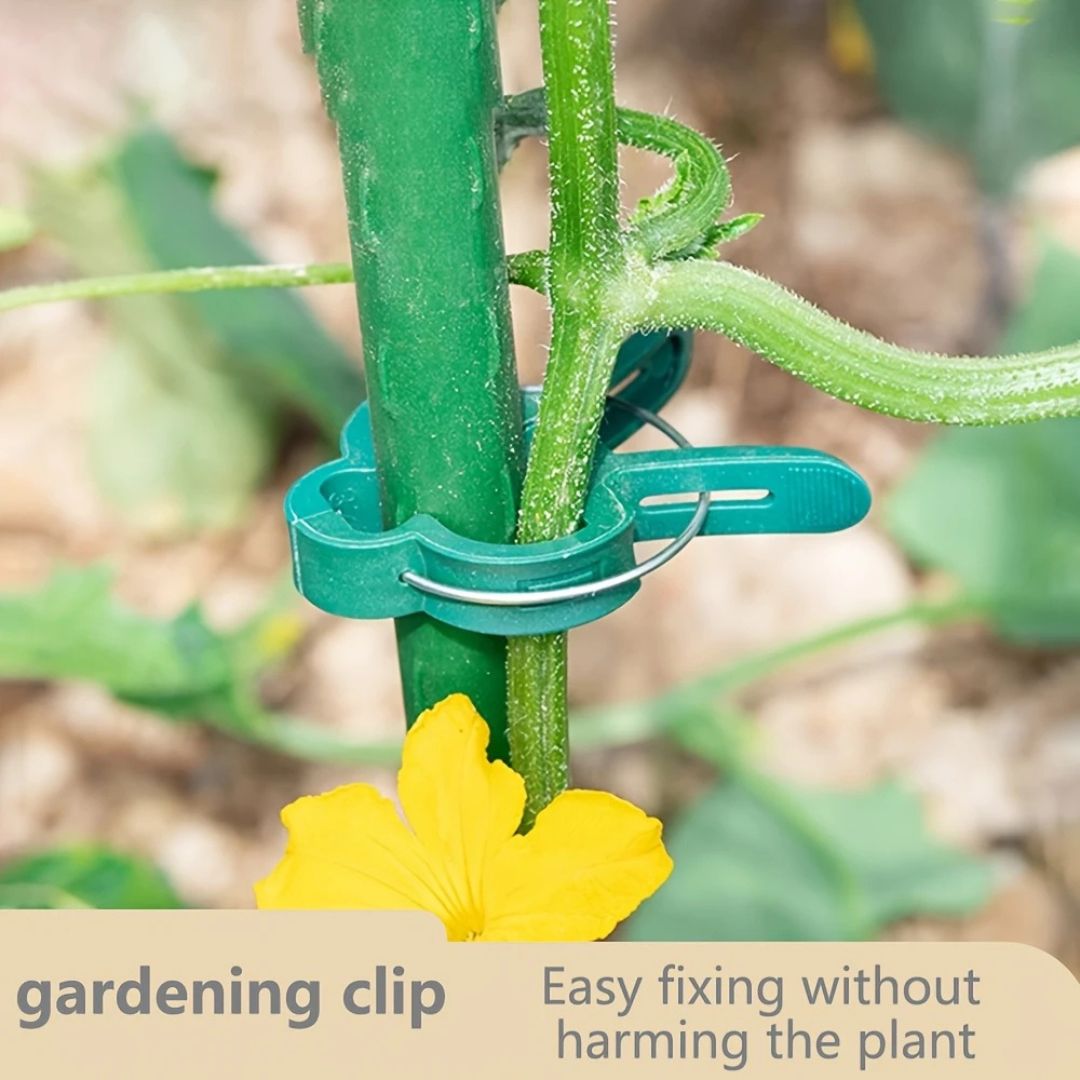 20 Wiederverwendbare Pflanzclips