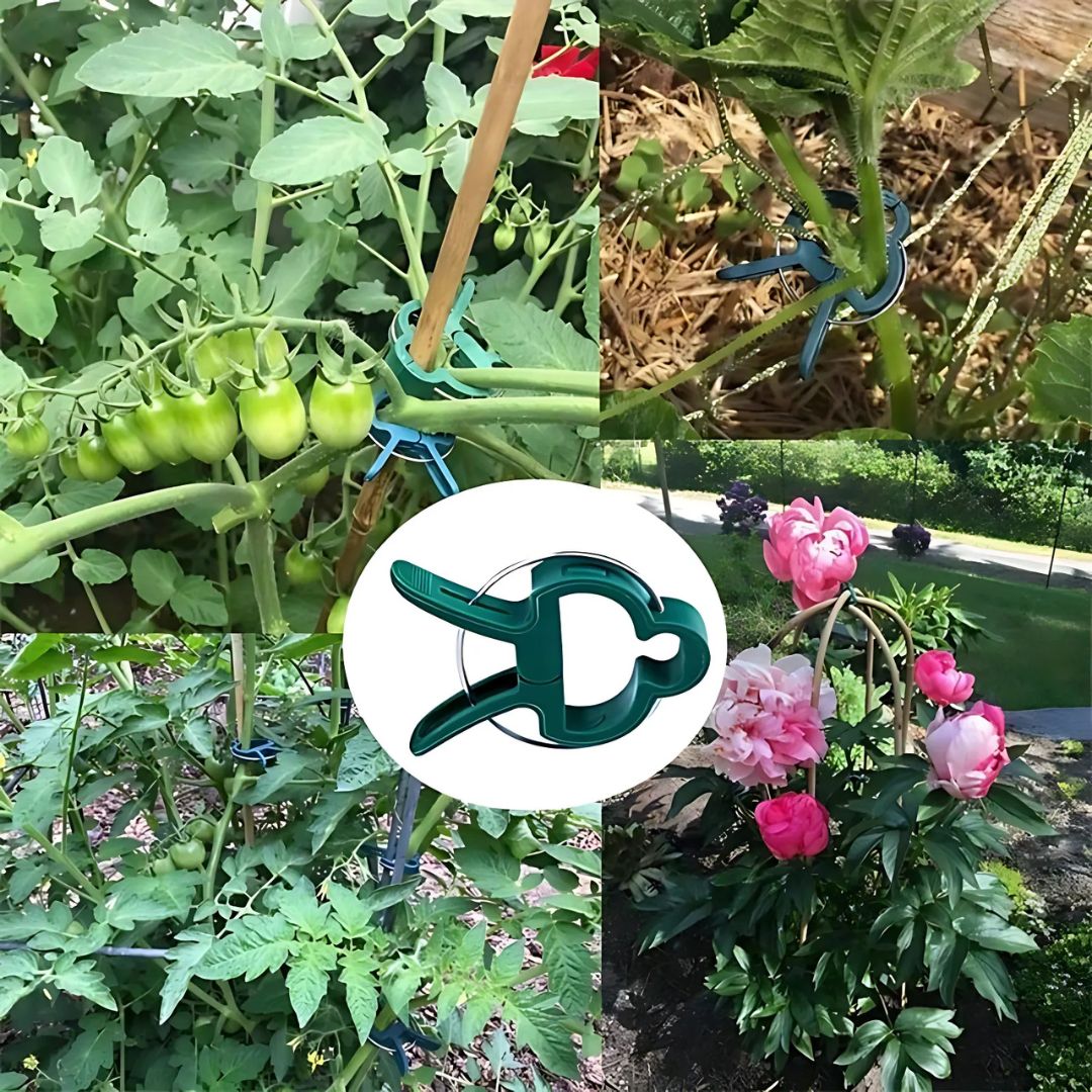 20 Wiederverwendbare Pflanzclips