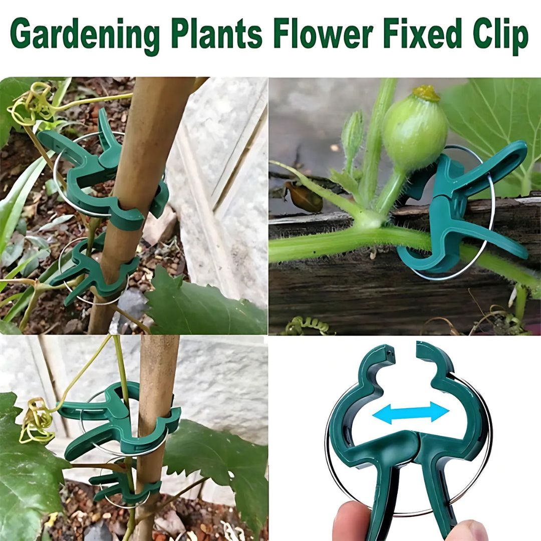 20 Wiederverwendbare Pflanzclips
